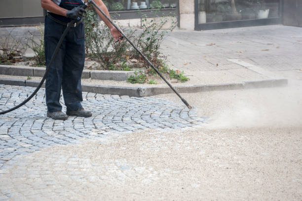 Best Warehouse Cleaning  in Rolla, ND